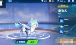 qq飞车宠物最新爆料,神秘宠物即将登场，激战赛道再添新伙伴！