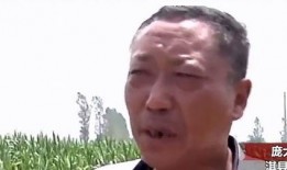 吃瓜最新事件爆料被父亲发现,揭秘背后惊人真相