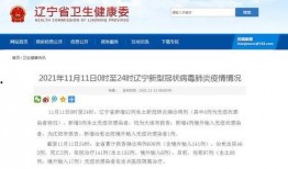 辽宁最新爆料,揭秘重大事件背后的真相