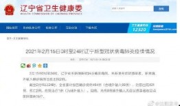 辽宁最新爆料,揭秘重大事件背后的真相