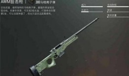 cfhd最新爆料awm,AWM全新内容即将揭晓，敬请期待！