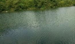 东风水库爆料视频最新版,揭秘水库神秘面纱背后的惊人真相