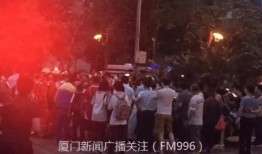 厦门爆料最新新闻,揭秘城市热点事件背后的真相