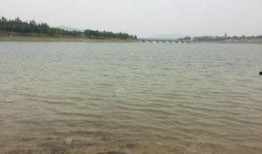 东风水库爆料视频最新版,揭秘水库神秘面纱背后的惊人真相