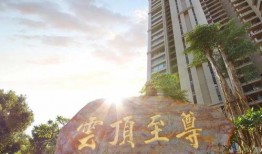 云顶至尊最新爆料消息,神秘新功能引玩家热议，游戏体验再升级