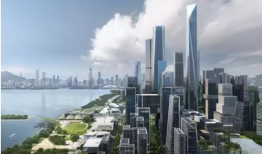 深圳湾网红最新爆料新闻