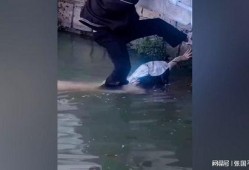 双峰溺水事件爆料最新,揭开事件背后真相与反思