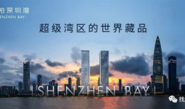 深圳湾网红最新爆料新闻