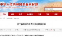 辽宁最新爆料,揭秘重大事件背后的真相