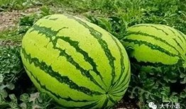 山东大瓜爆料视频大全最新,揭秘娱乐圈最新热点事件