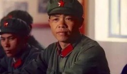 老兵爆料视频大全最新,视频大全中的真实战地故事与英勇瞬间