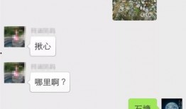 铅山最新爆料事件视频,视频揭露惊人真相，事件背后有何隐情？