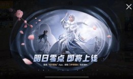 夜凯最新爆料视频大全,揭秘娱乐圈幕后真相