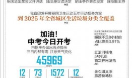 大连海关爆料事件最新消息,最新进展及影响揭秘