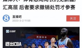 最新篮协爆料,揭秘新赛季赛程与球员转会动态