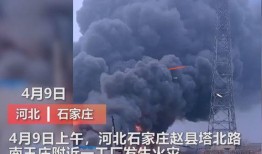 粤东事件爆料视频大全最新,视频大全揭露惊人真相