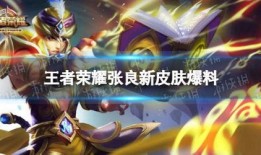 新皮肤最新爆料王者图片,王者峡谷再迎视觉盛宴，神秘图鉴提前曝光！